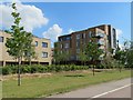 Flats on Beech Drive