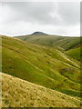 NY3130 : Slope descending from Bowscale Fell by Trevor Littlewood
