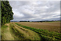 SO8690 : Farmland south of Swindon in Staffordshire by Roger  D Kidd