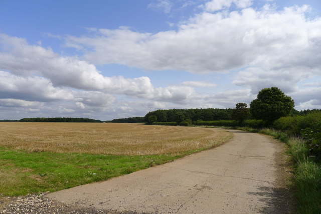 Bridleway track on the south side of Saltby Airfield