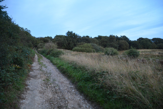 West Dorset : Track