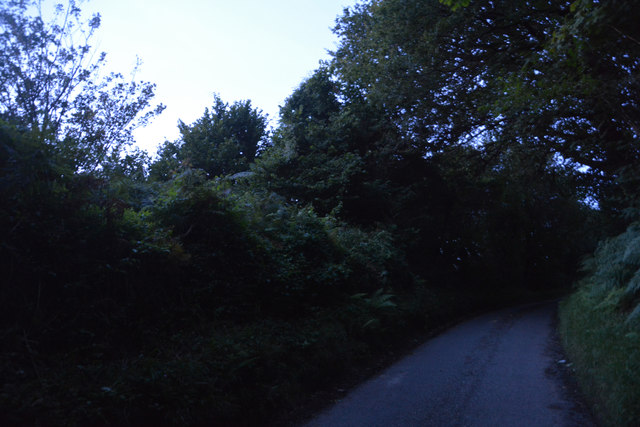 West Dorset : Country Lane