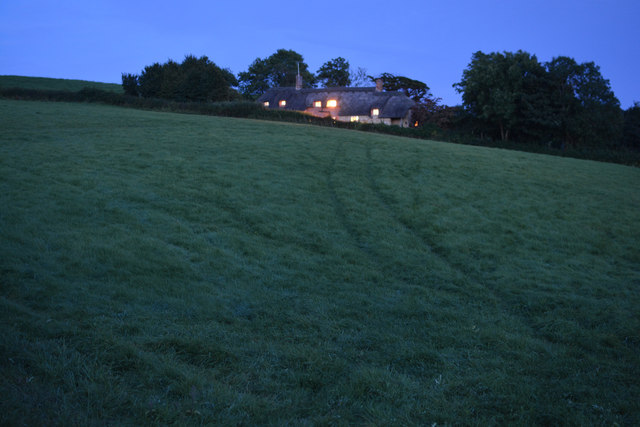 West Dorset : Grassy Field