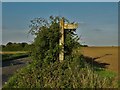 Footpath sign near Palegates Farm