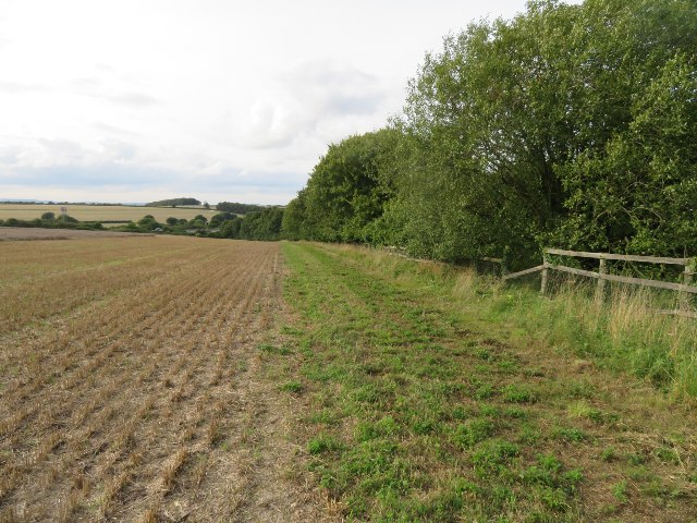 Farmland east of M3 - Dummer