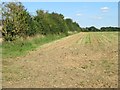 Farmland New Farm Road