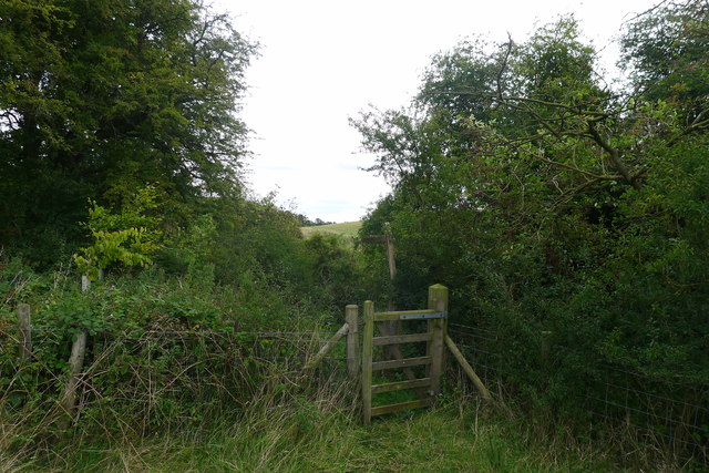 Footpath crossing the stream in the Wyville valley