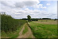 Footpath track down to Red Cottages