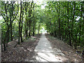 Footpath from Copthorne to Balcombe Road