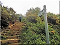 Steps up from the Old Rufford Road