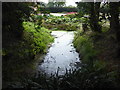 Part of the former moat of Rumburgh Priory