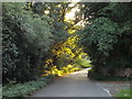 Old Church Hill, near Laindon