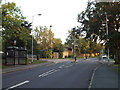 TQ6887 : High Road, Langdon Hills, near Laindon by Malc McDonald