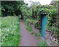 Footpath by Forest Lodge