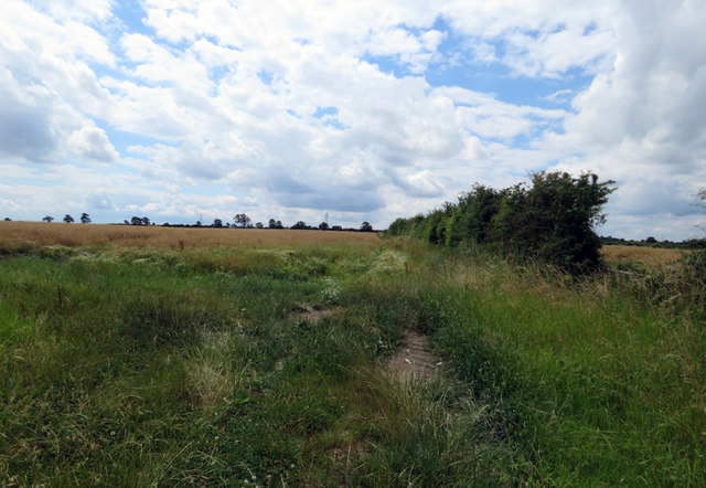 Field south of Melton Road