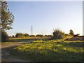 Farmland by Belcumber Farm, Little London