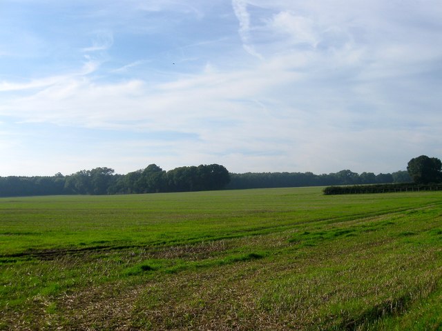 Barn Field and Twelve Acres