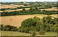 Cerne valley