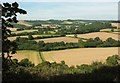 Towards Up Cerne