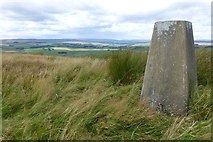 NY9290 : Trig point on Wether Hill by Russel Wills