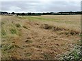 Farmland north of Millholme Farm