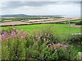 Fields between Barns Farm and Shepherd