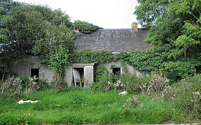 Overgrown Farmhouse