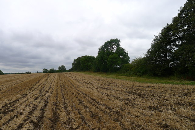 No-till field near Waltham Pasture Farm
