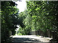 Bridge over the River Colne