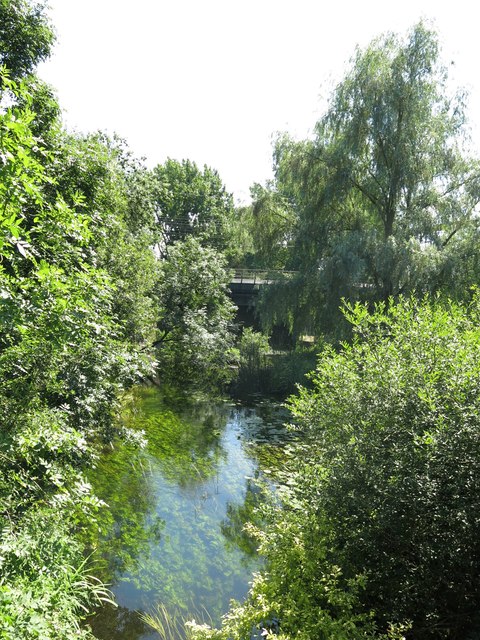 The River Colne north of Thorney Weir (2)