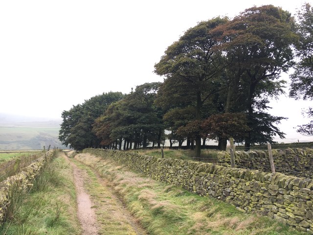 The Pennine Bridleway at Green Low