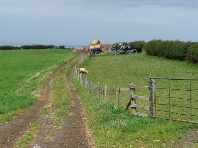 Public footpath to the cliffs, north of Brotton