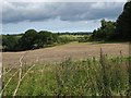 View towards Kirby Marsh