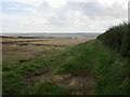 Field being harrowed off North Cotes Road