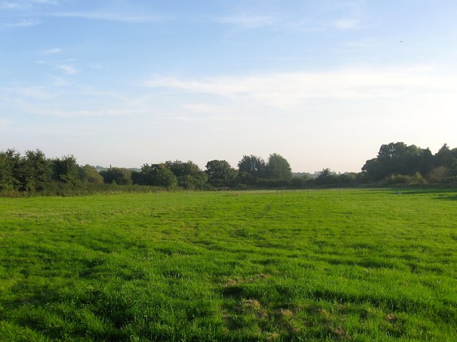 Chalcroft Field