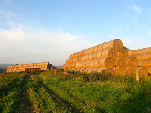 Hay Bales, Ecclesden Farm