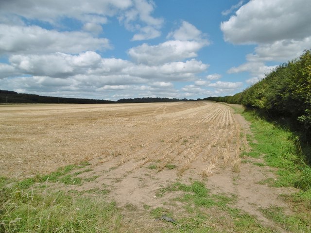 Holwell, stubble field