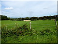 Upper Third Townland