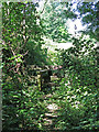 Mildly overgrown stile on a path north of Thorney Mill Road