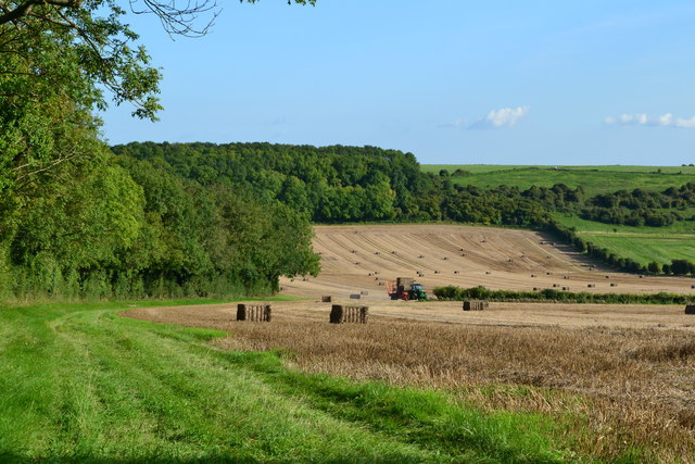 Farmland near Little Golders