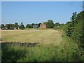 Field by Weyhill Road