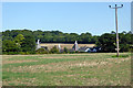 Oast houses at Claypots