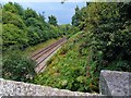 Robin Hood Railway Line