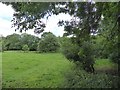 Field by River Lew at Gribbleford Bridge