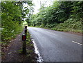 The Cankhorn towards Knowle Sands