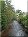 River Lew at Hatherleigh