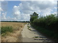 Track (bridleway) towards Hempstead Wood