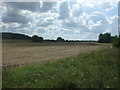 Field near Old Hall Farm