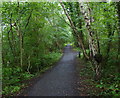 National Cycle Route 45 at Hazelwells