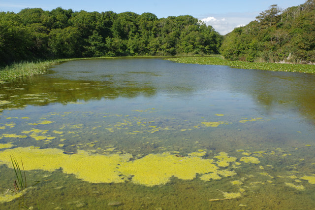 Bosherston Lily Ponds © Stephen McKay cc-by-sa/2.0 :: Geograph Britain ...